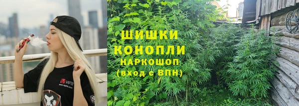 2c-b Гусиноозёрск