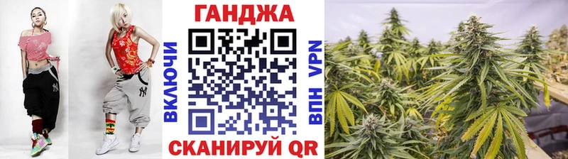 Конопля сатива Меленки